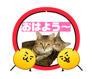 823470249