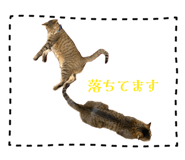 823470251