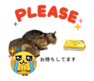 823470264