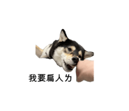 823494660