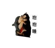 823494664