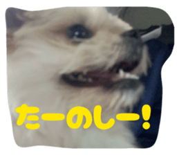 823504173