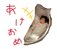 823504209
