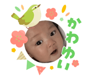 823508129