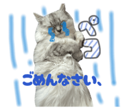 823557367