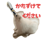 823576769