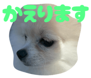 823576770