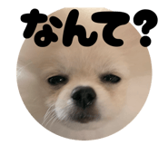 823576774