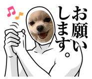 823576777