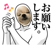 823576785