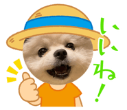 823576787
