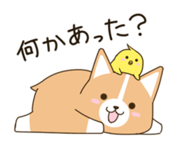 8235832