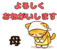 823597131