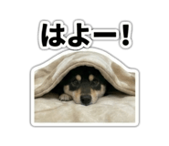 823614171