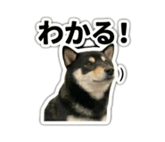 823614180