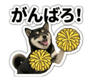 823614187