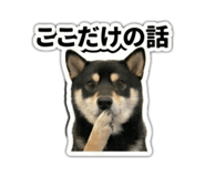 823614190