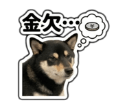 823614202