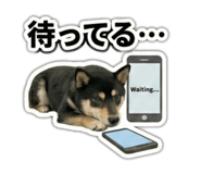 823614207