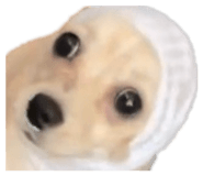 823626537