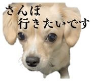 823626545
