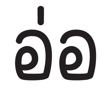 ลายที่ 29