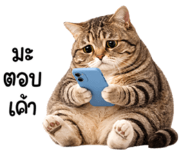 823643729