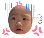 823651581