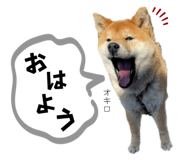823657889