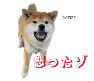 823657895