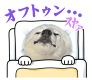 823661950