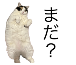 823662476