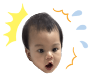 823666704