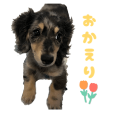 823687761