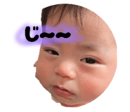 823690062
