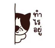 823692531