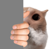 823693498