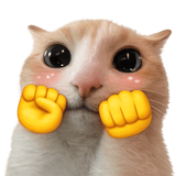 823693501