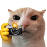 823693508