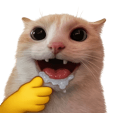 823693510
