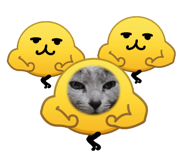 823693790