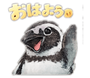 823696317
