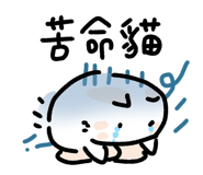 823705164