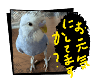 823709747