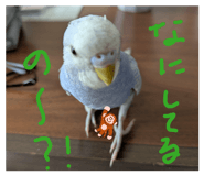 823709749