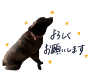 823712665