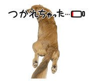 823718310