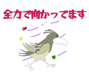 823722736