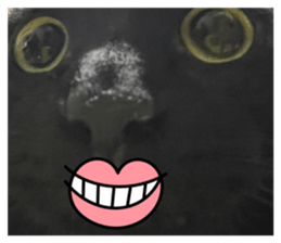 823726832