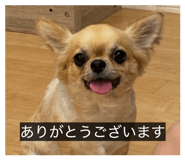 823727145